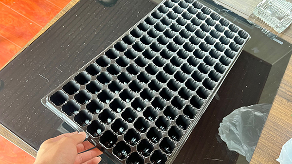 濟(jì)寧PET穴盤